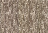 Covington Collections New Collection Thick And Thin 619 TRUFFLE